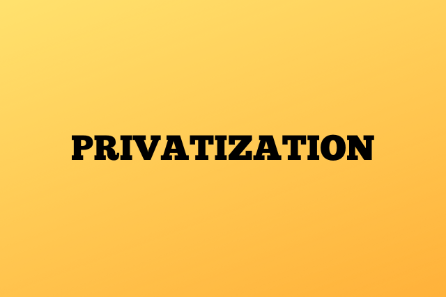 Is Privatization good for the economy?